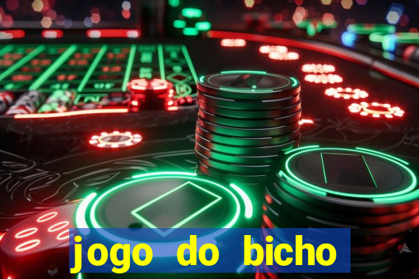 jogo do bicho crash bingo